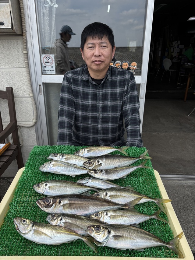 アジ(マアジ)