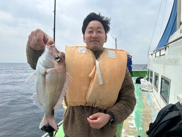 タイ(マダイ)