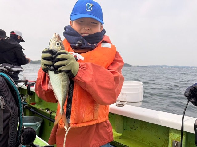アジ(マアジ)