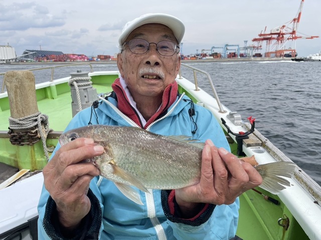 イシモチ(シログチ)