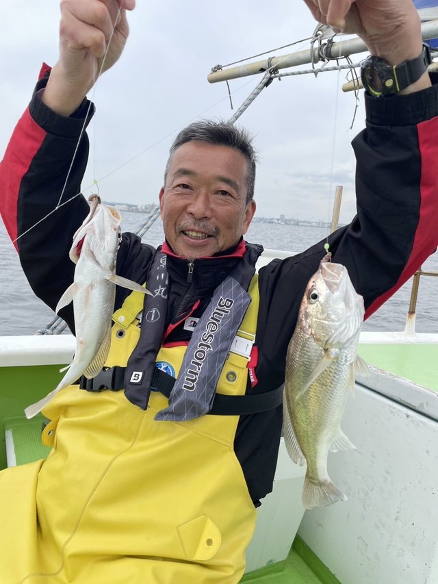 イシモチ(シログチ)