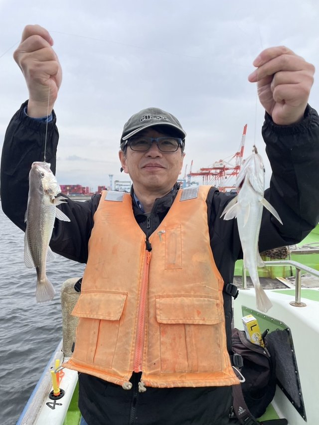 イシモチ(シログチ)