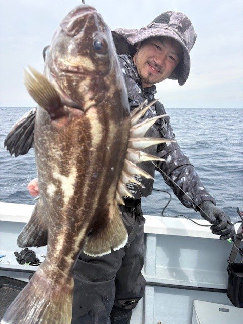 イシナギ(オオクチイシナギ)