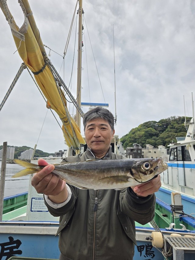 アジ(マアジ)