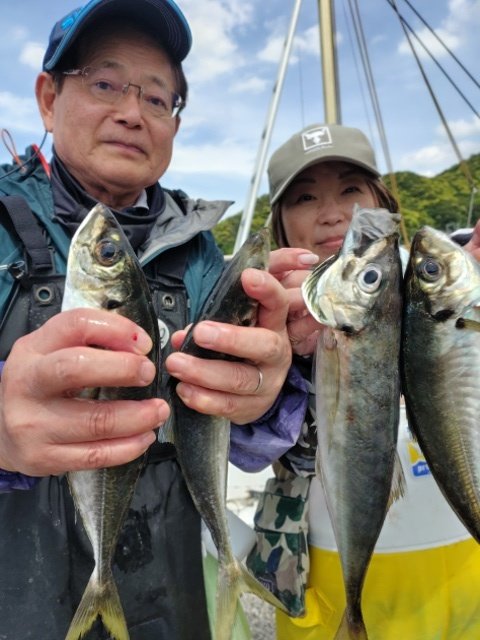アジ(マアジ)