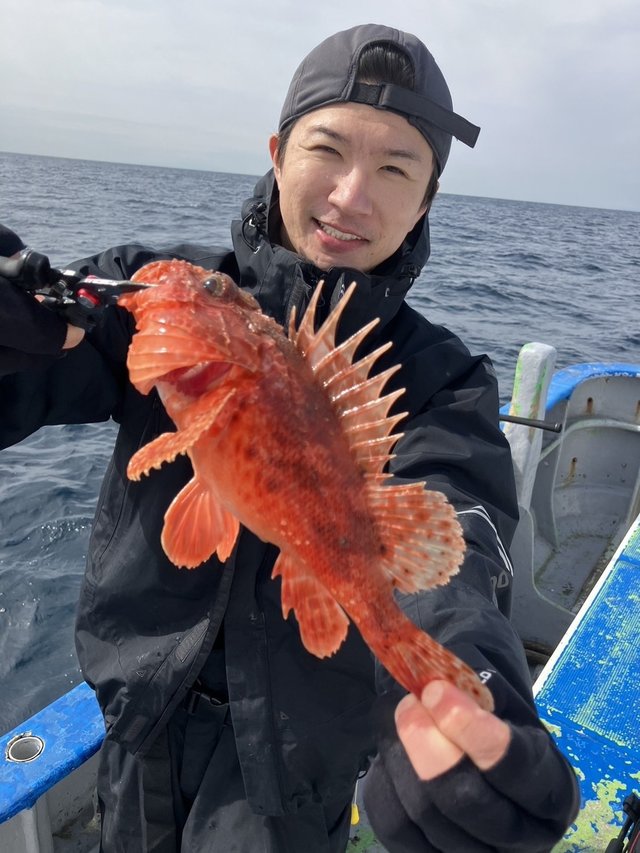 オニカサゴ