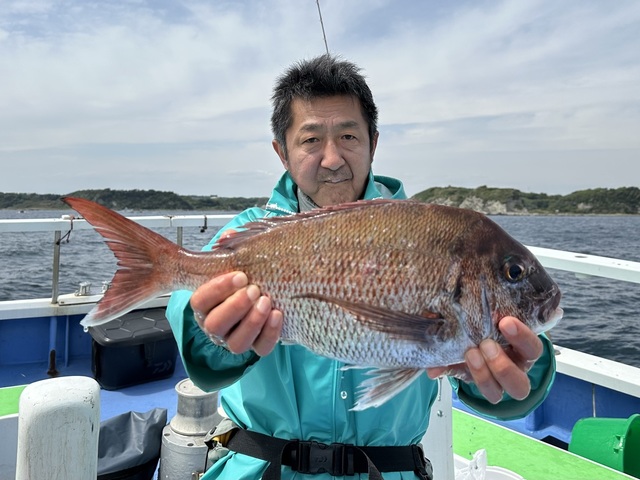 マダイ