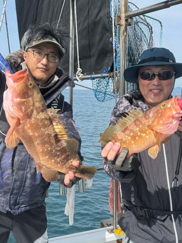 アコウ(キジハタ)