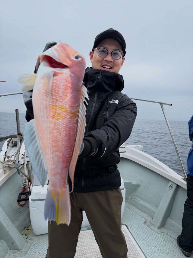 アマダイ(アカアマダイ)