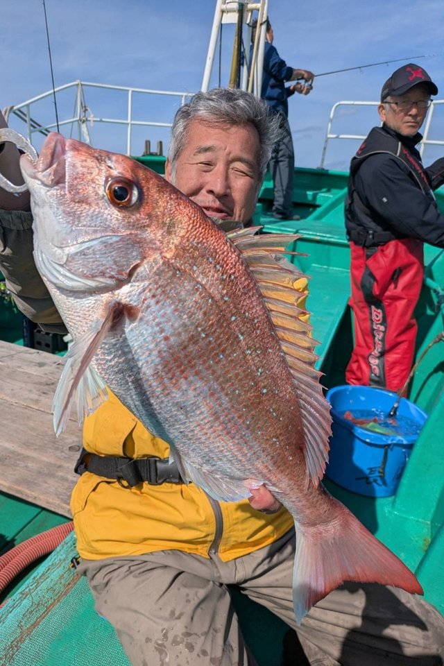 マダイ