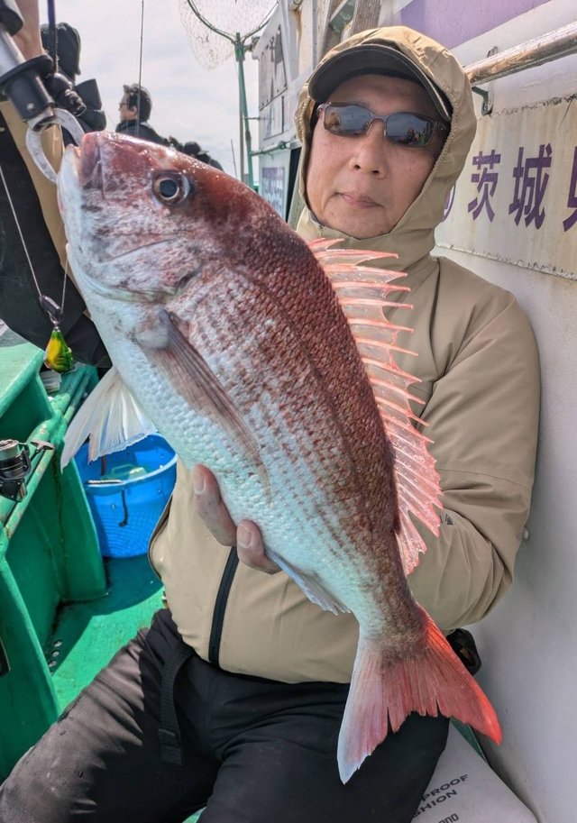マダイ
