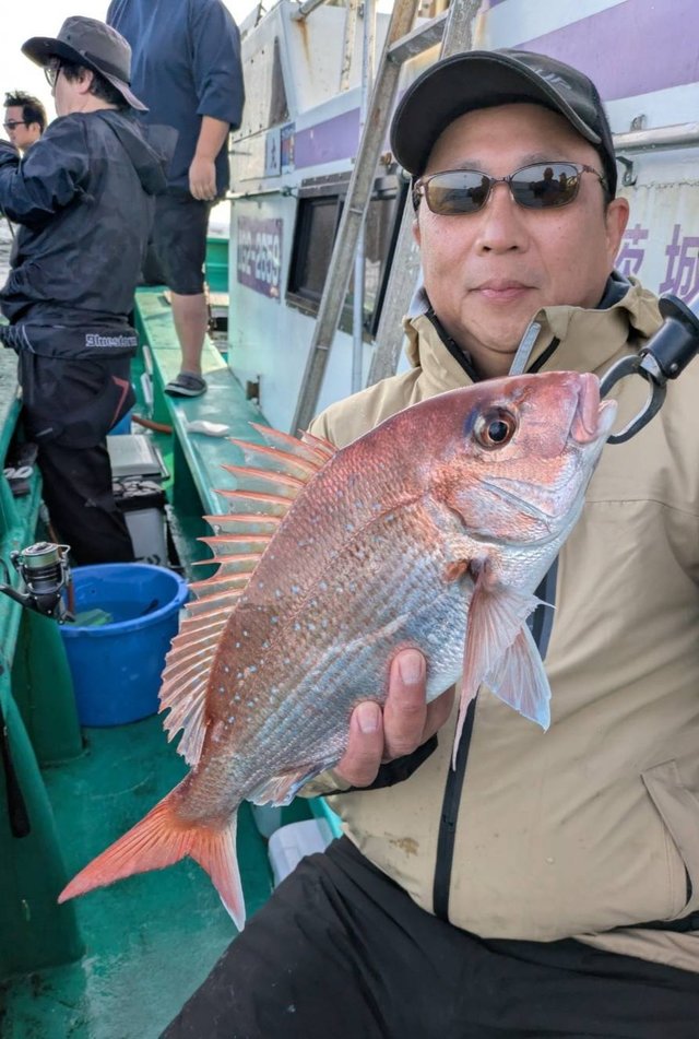 マダイ