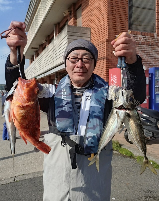 アジ(マアジ)