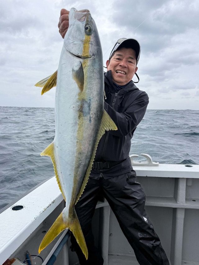 ヒラマサ