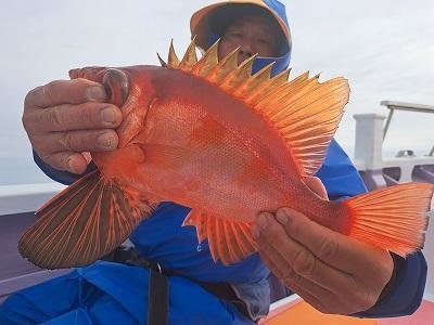 キントキ(チカメキントキ)