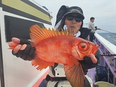 キントキ(チカメキントキ)