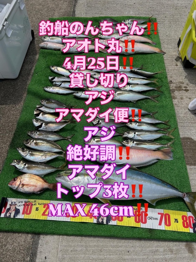 アジ(マアジ)・シロアマダイ