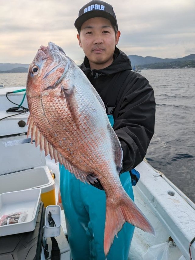 マダイ