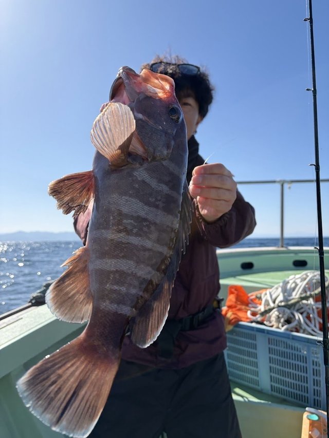 マハタ
