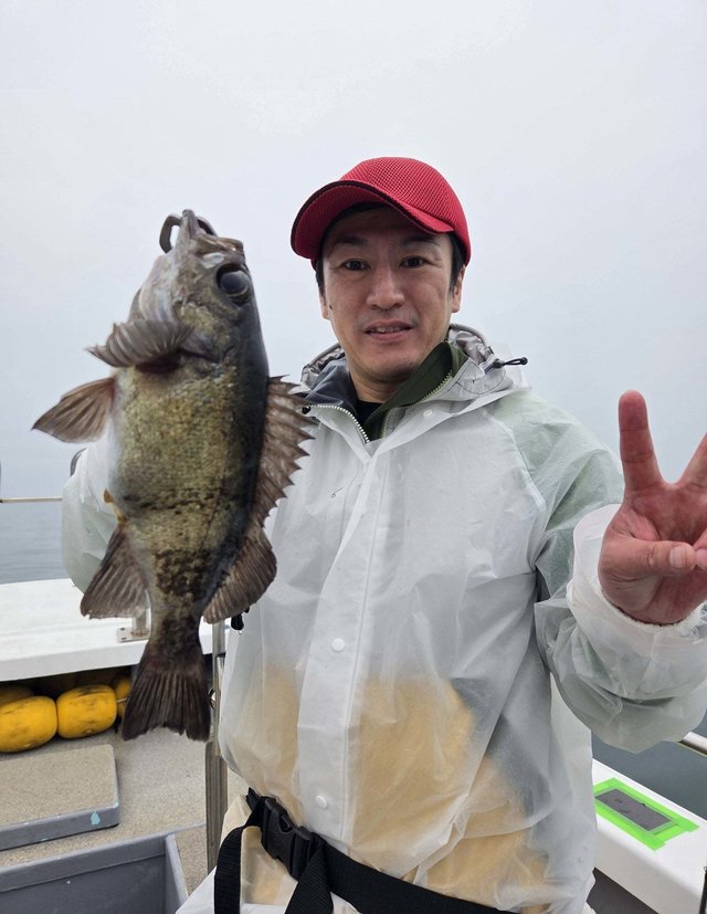 クロメバル(メバル)