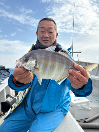 カイワリ