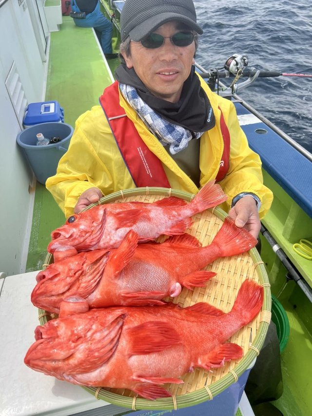 アコウダイ