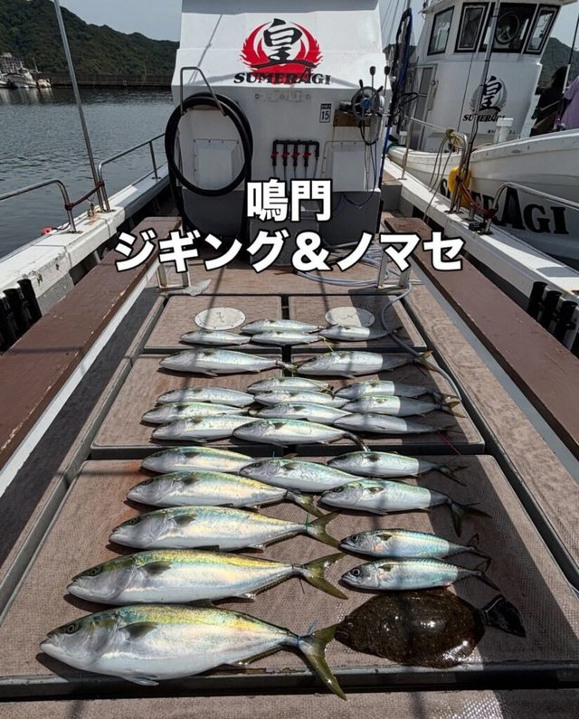 ハマチ(ブリ)・メジロ(ブリ)・ヒラメ・サバ(ゴマサバ)