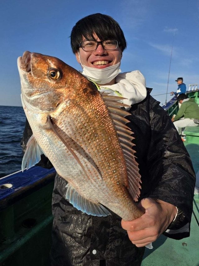 マダイ
