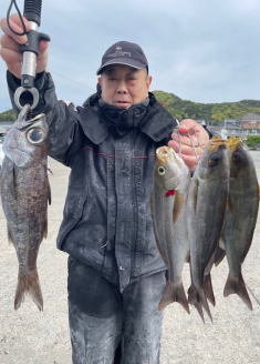 イサキ・クロムツ