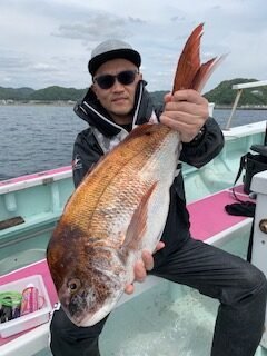 マダイ
