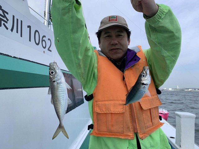 アジ(マアジ)