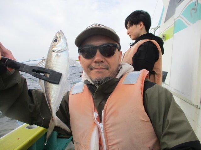 アジ(マアジ)