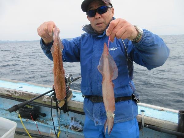 ヤリイカ