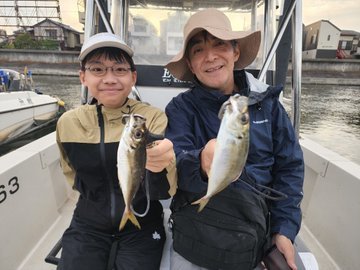 アジ(マアジ)