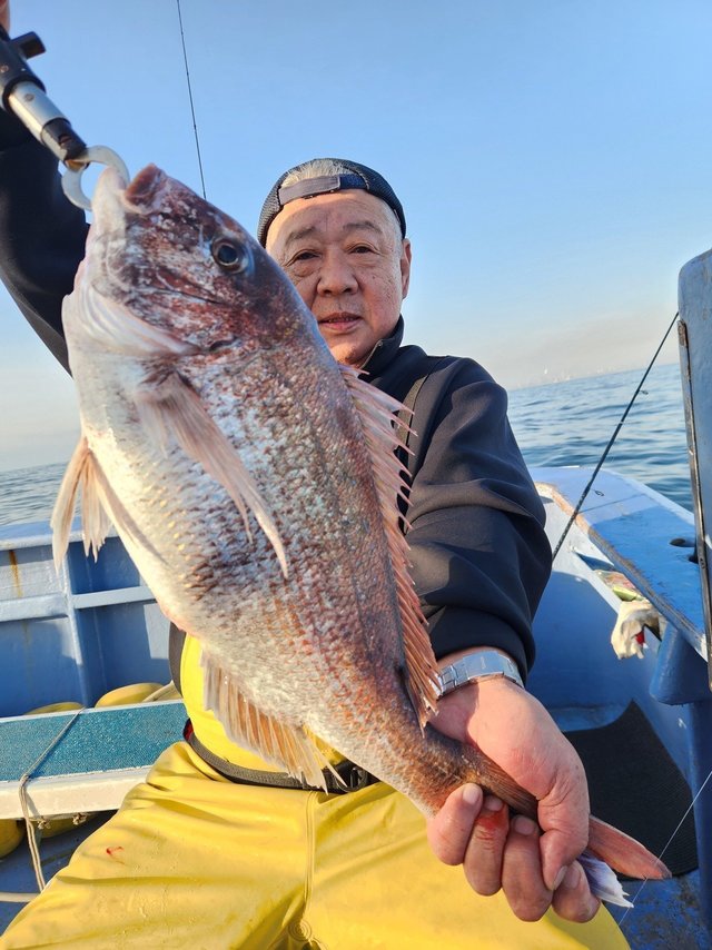 マダイ