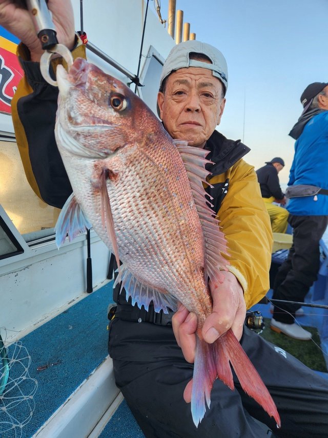 マダイ