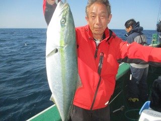 ワラサ(ブリ)