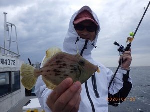 カワハギ