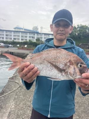 マダイ