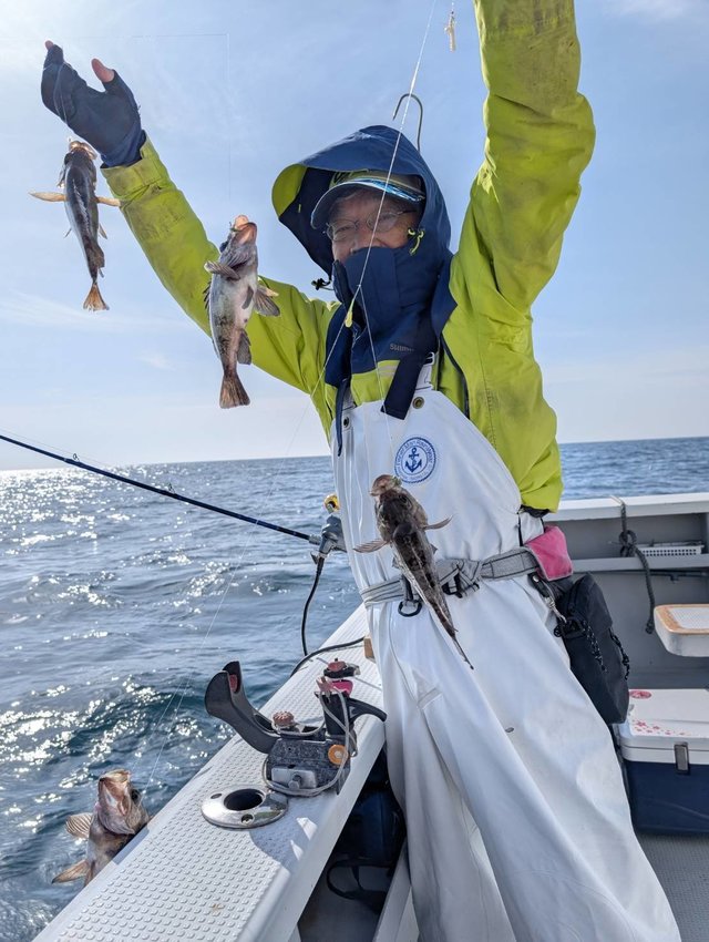 クロメバル(メバル)