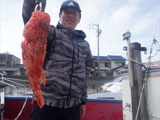オニカサゴ