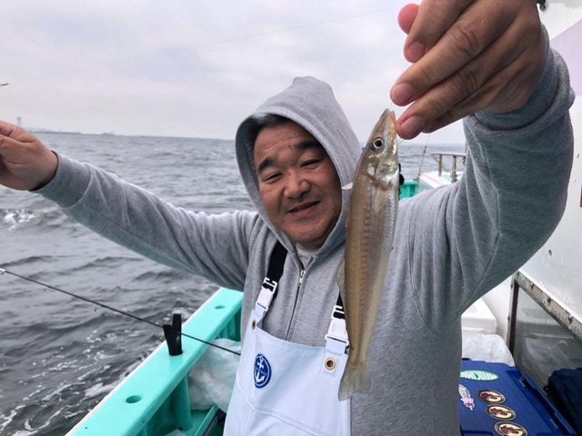 シロギス