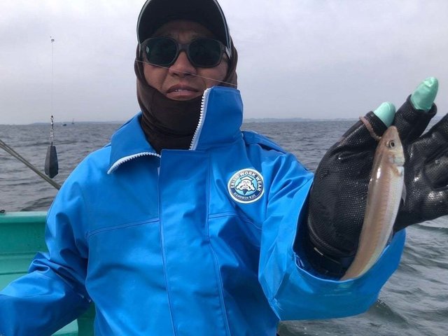 シロギス