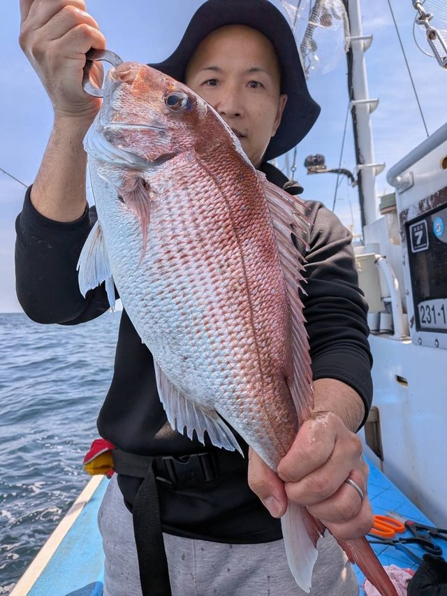 マダイ