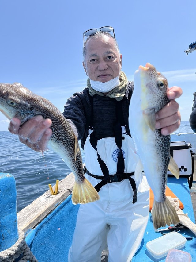 ショウサイフグ