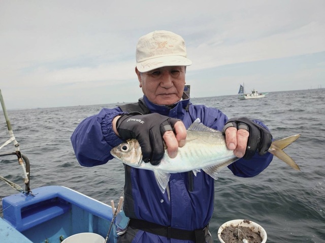 アジ(マアジ)