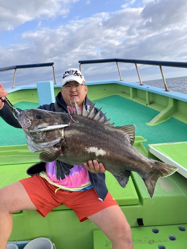 イシナギ(オオクチイシナギ)