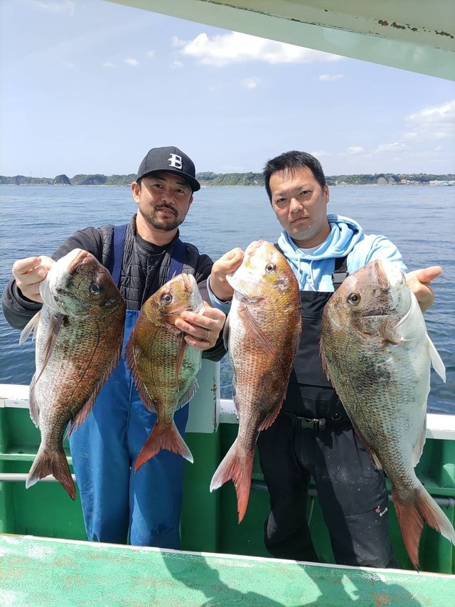 マダイ