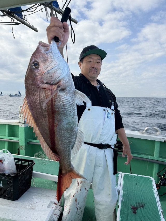 マダイ