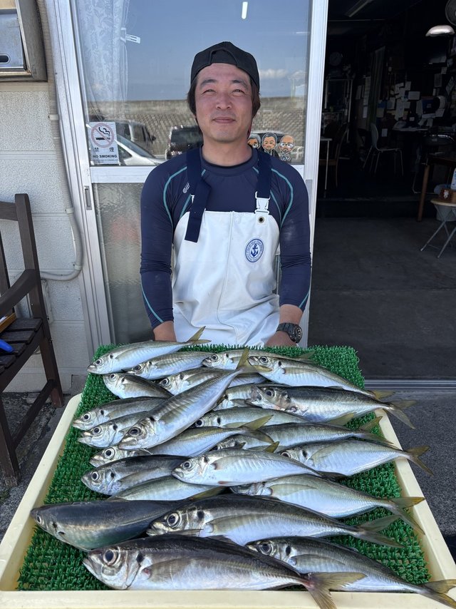 アジ(マアジ)